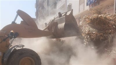 استرداد 154 فدانا خلال حملة لإزالة 55 حالة تعد على الأراضي بأسيوط 