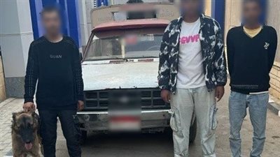 الأمن يكشف ملابسات فيديو ترهيب شاب من ذوي الهمم بكلب داخل سيارة في الفيوم