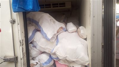 قوافل الخير تواصل دعم الأسر الأكثر احتياجًا بالإسكندرية