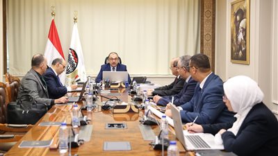 وزير قطاع الأعمال العام يتابع جهود تعديل حدود الكربون لتعزيز تنافسية الصادرات