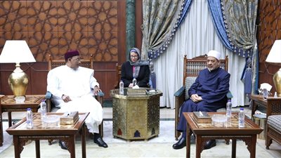 شيخ الأزهر يدعو لإنشاء لجنة من حكماء إفريقيا لتخفيف حدة النزاعات بالقارة