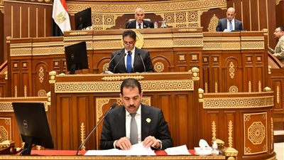  أول ظهور للأمين العام للشيوخ بالجلسة العامة 