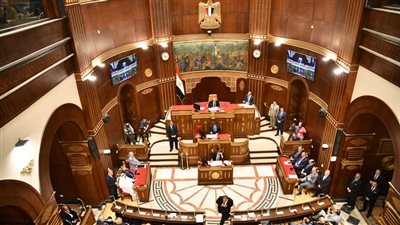  بينها زيادة القسط السنوي، تفاصيل تعديل قانون التأمينات والمعاشات بعد موافقة قوى عاملة الشيوخ 