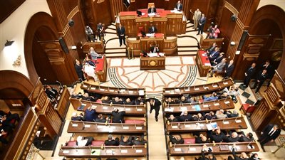 تشريعية الشيوخ توافق على تعديل قانون الكهرباء 