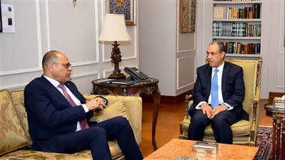 وزيرا الخارجية والعمل يبحثان إنشاء قاعدة بيانات موحدة للعمالة المصرية بالخارج (صور)
