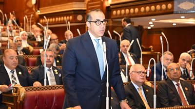 وزير الشئون النيابية: القيادة الحكيمة للرئيس السيسي حمت مصر من الزلل