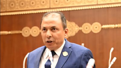 النائب فهمي عبد الرؤوف فهمي يؤدي اليمين الدستورية عضوا بمجلس الشيوخ 