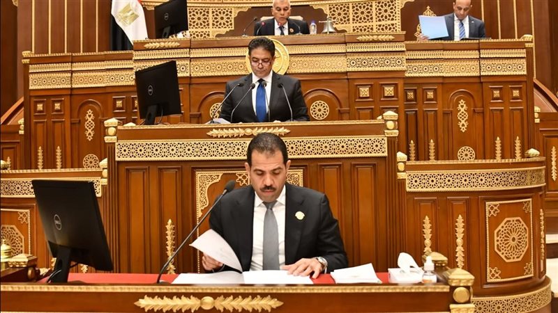 الجلسة العامة لمجلس