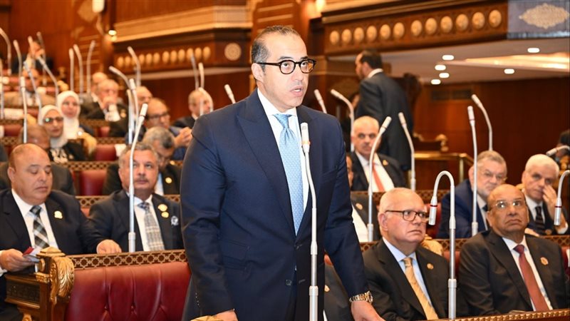 الوزير محمود فوزي