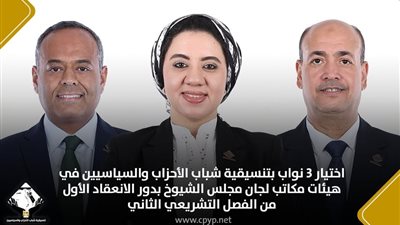 اختيار 3 نواب من تنسيقية شباب الأحزاب في هيئات مكاتب لجان مجلس الشيوخ 