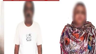 ضبط شخصين وسيدة لممارستهم الأعمال المنافية للآداب بالدقهلية 