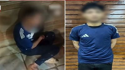 فيديو يقود الشرطة لضبط سائق بحوزته مخدرات فى القليوبية