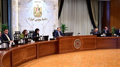 الحكومة تقرر تقييد تأسيس شركات جديدة مملوكة للدولة