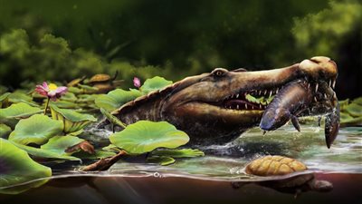 تمساح عمره 80 مليون عام، اكتشاف علمي جديد لمركز الحفريات الفقارية بجامعة المنصورة 