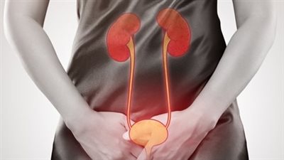 إصابة واحدة من كل خمس، دراسة تكشف علاقة التهاب المسالك البولية بنظافة المطبخ