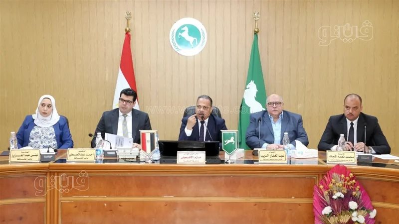 المجلس التنفيذي لمحافظة