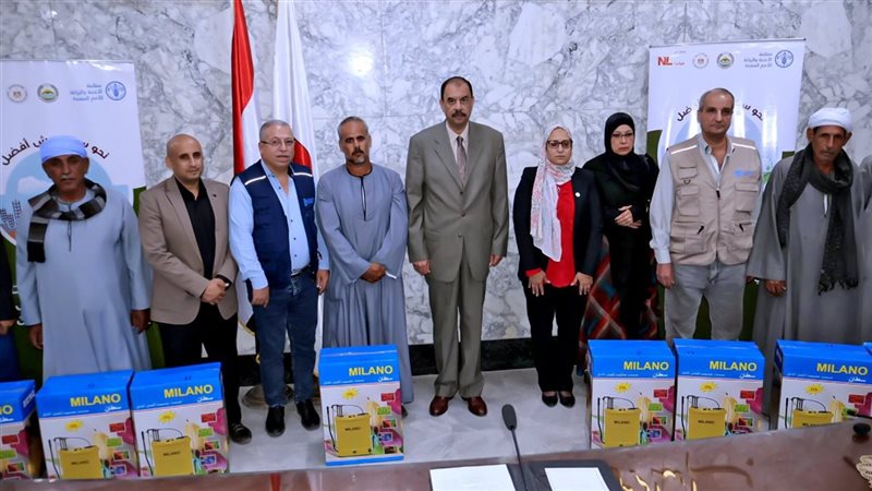 جانب من عملية التوزيع