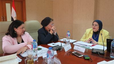 نائب وزير الصحة تبحث الاستعدادات للخطة التنفيذية الثانية للاستراتيجية الوطنية للسكان