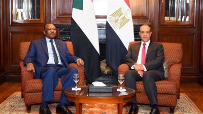 وزير الخارجية ونظيره السودانى يؤكدان وحدة موقف البلدين بشأن ملف الأمن المائي