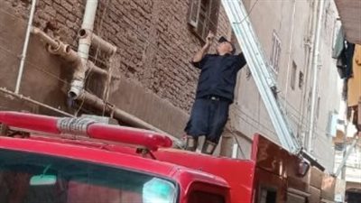  الحماية المدنية تنقذ قطة عالقة داخل ماسورة صرف صحي في الغربية