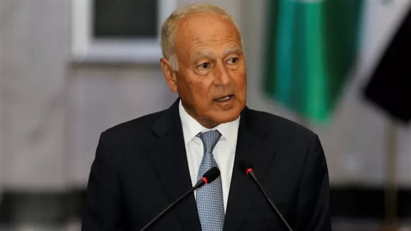 أحمد أبو الغيط، فيتو