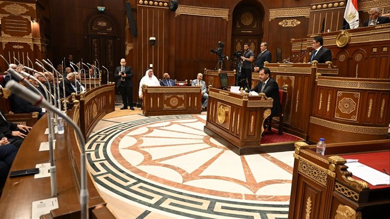مجلس الشيوخ، فيتو