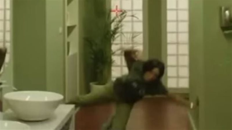  الفنانة زينة، فيتو