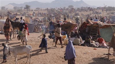 خبير بالشأن الأفريقي يحذر من انهيار المنظومة الاجتماعية والإنسانية في الفاشر بالسودان 