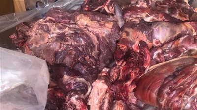 ضبط 400 كيلو لحوم غير صالحة للاستخدام الآدمي بالإسكندرية 