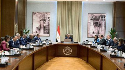 مدبولي: مهتمون بالتوسع في مشروعات الطاقة المتجددة وإدخالها سريعًا للخدمة