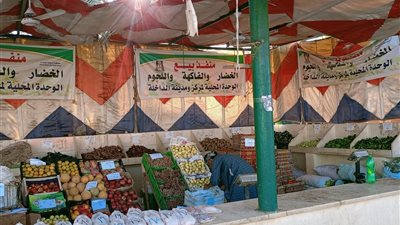 مشروعات خدمية وتنموية للمواطنين بواحة الداخلة بالوادي الجديد 