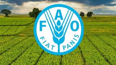لطلاب وخريجي الجامعات، فرص تدريبية بمنظمة الفاو وهذه طريقة التقديم والشروط المطلوبة