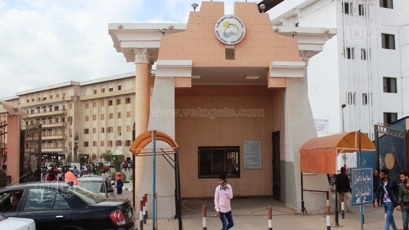 جامعة بني سويف 