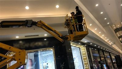 الأمن ينقذ قطة محتجزة أعلى واجهة محل بالإسكندرية