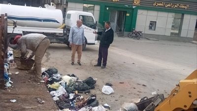 حملات لرفع مستوى النظافة ومكافحة الحشرات بدمياط 