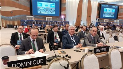 وزير التعليم العالي: مشاريع منظمة اليونسكو ساهمت في مواجهة آثار الحروب والكوارث العالمية