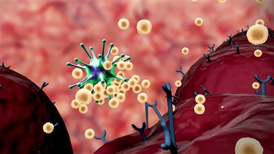 احذري، زيادة المناعة خطر يهدد صحتك