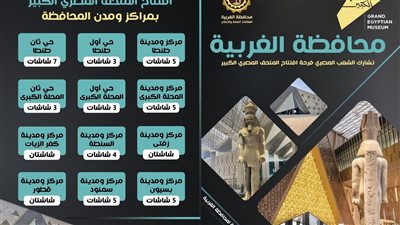 محافظ الغربية: تجهيز 47 شاشة عرض عامة لنقل افتتاح المتحف المصري الكبير بالمحافظة