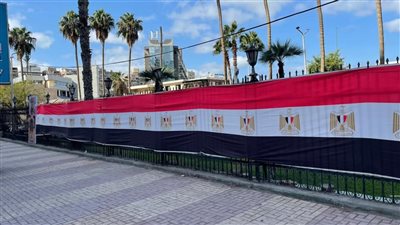 تجهيز شاشات داخل 50 مركز شباب و129 هيئة رياضية لعرض احتفال المتحف الكبير بالإسكندرية 