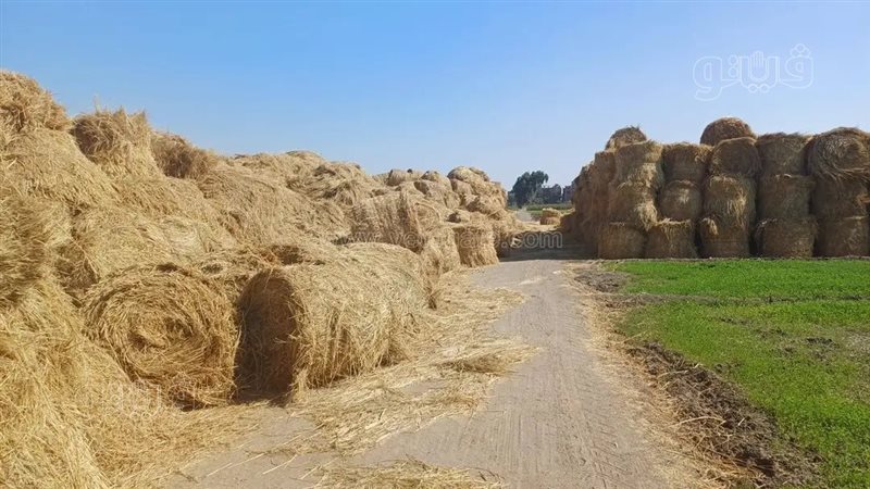 مراكز تجميع المخلفات