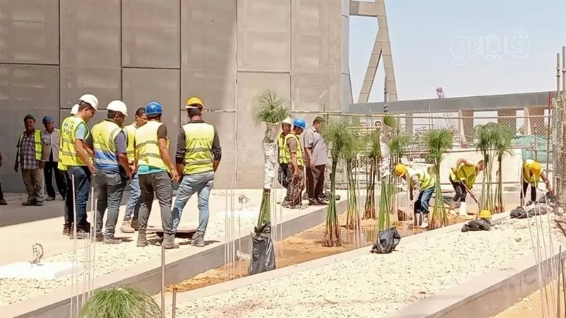 زراعة البردي في المتحف
