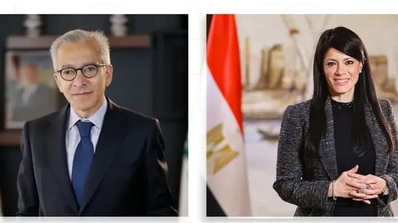 اللجنة العليا المصرية