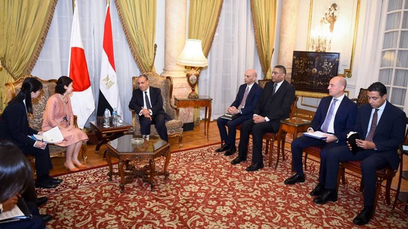 لقاء وزير الخارجية
