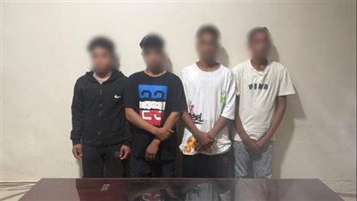 القبض علي المتهمين في واقعة فيديو إلقاء «هرة» في النيل 