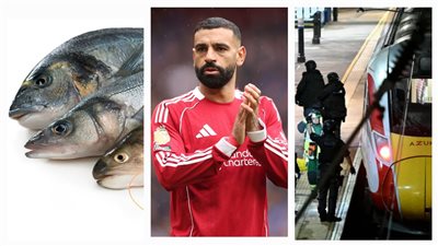 أخبار مصر: حادثان إرهابيان يهزان أمريكا وبريطانيا، تعليق مثير من صلاح رغم إنجازه التاريخي، أسعار مفاجأة تهز سوق السمك