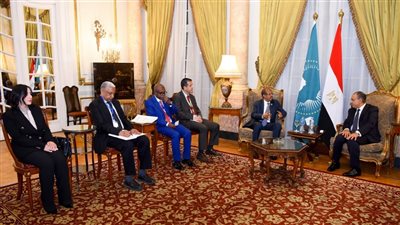 وزير الخارجية يبحث مع رئيس مفوضية الاتحاد الأفريقي ترتيبات نشر قوات مصرية في الصومال وأزمة السودان