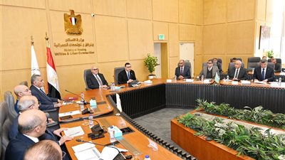 وزير الإسكان ورئيس الهيئة العربية للتصنيع يتابعان مشروعات مبادرة حياة كريمة