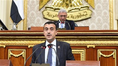 بعد موافقة النواب، النص الكامل لزيادة الرسوم لصالح وزارة الخارجية