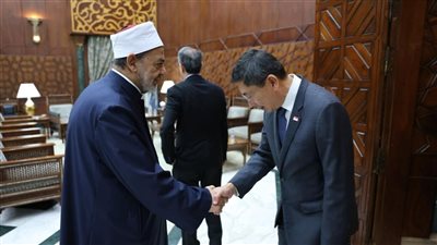 الإمام الطيب: مستعدون لافتتاح معاهد أزهرية بسنغافورة وإنشاء مركز لتعليم اللغة العربية