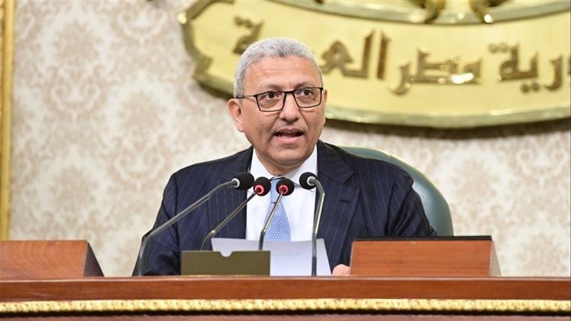 النائب أحمد سعد الدين